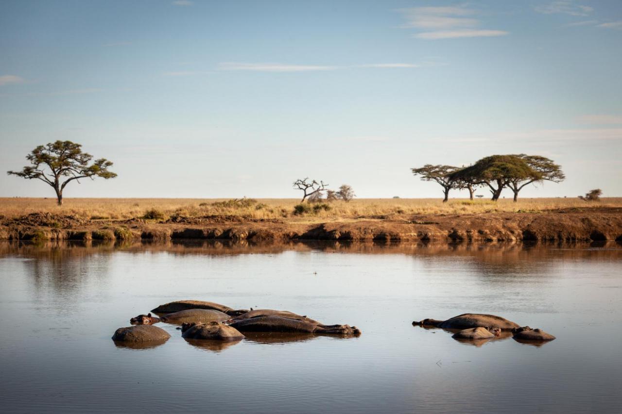 Mawe Tented Camp Serengeti Ngoại thất bức ảnh