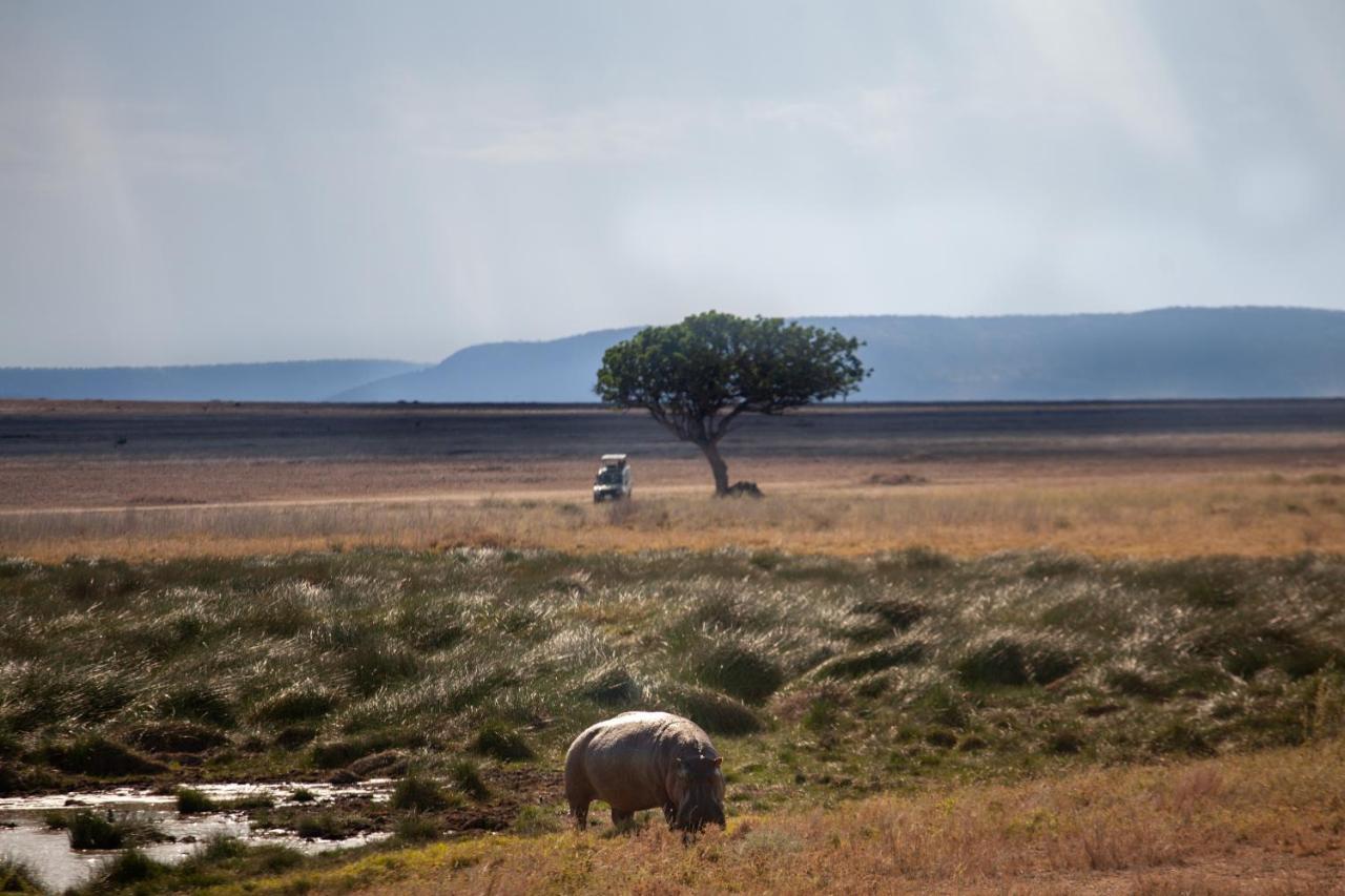 Mawe Tented Camp Serengeti Ngoại thất bức ảnh