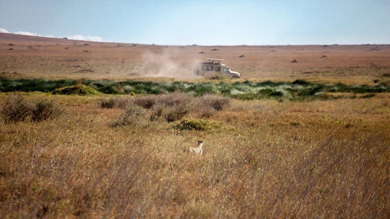 Mawe Tented Camp Serengeti Ngoại thất bức ảnh