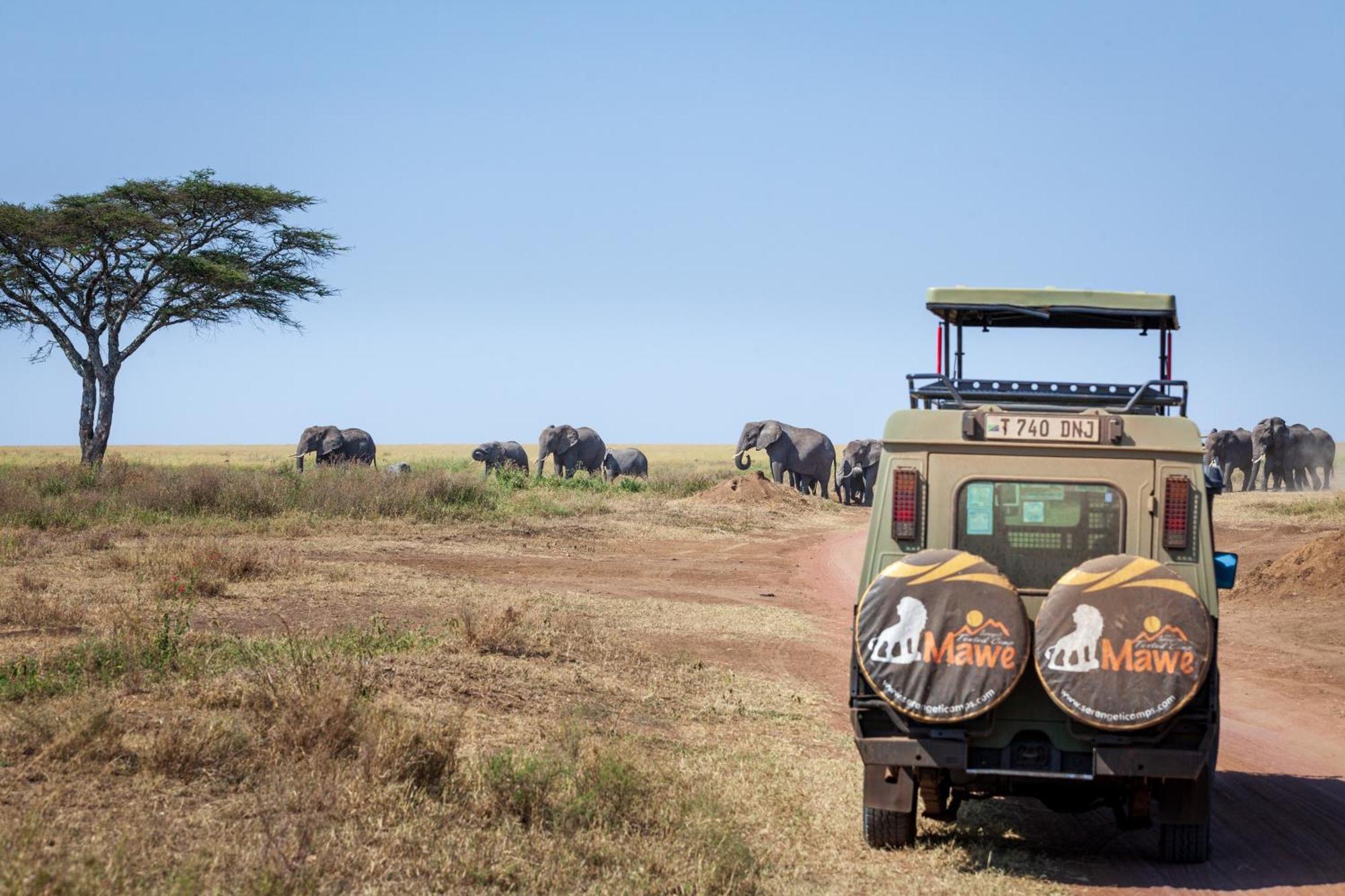 Mawe Tented Camp Serengeti Ngoại thất bức ảnh